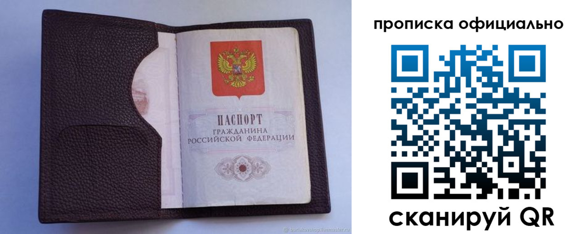 купить прописку в Купино