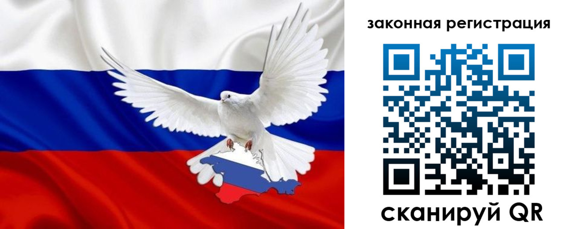 где прописаться в Купино