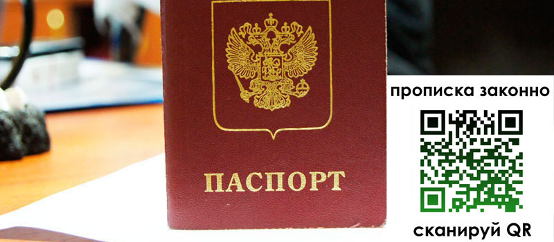 прописка в Купино